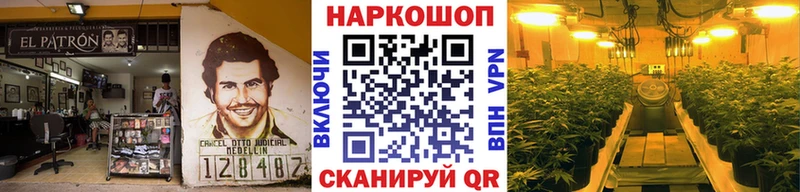 Где купить Облучье Канабис  Меф  СОЛЬ  ГАШИШ  Псилоцибиновые грибы  Кокаин 