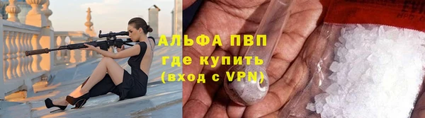 мдпв Богданович