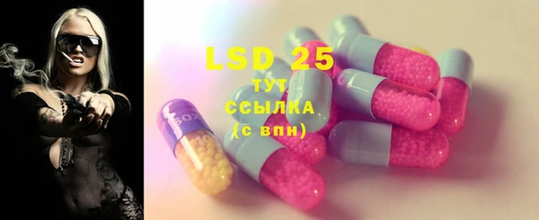 мдпв Богданович