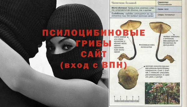 MDMA Premium VHQ Белоозёрский
