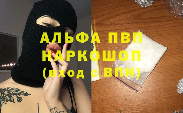 круглые Белокуриха