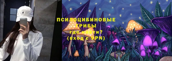 a pvp Богородицк
